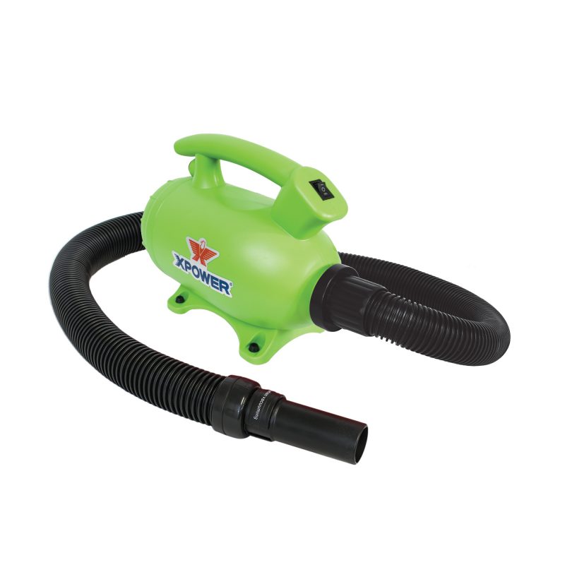 B-55-Green-800x800
