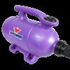 XPOWER B-2 Pro at Home 2 HP Dog Grooming 2-in-1 Force Pet Dryer & Vacuum