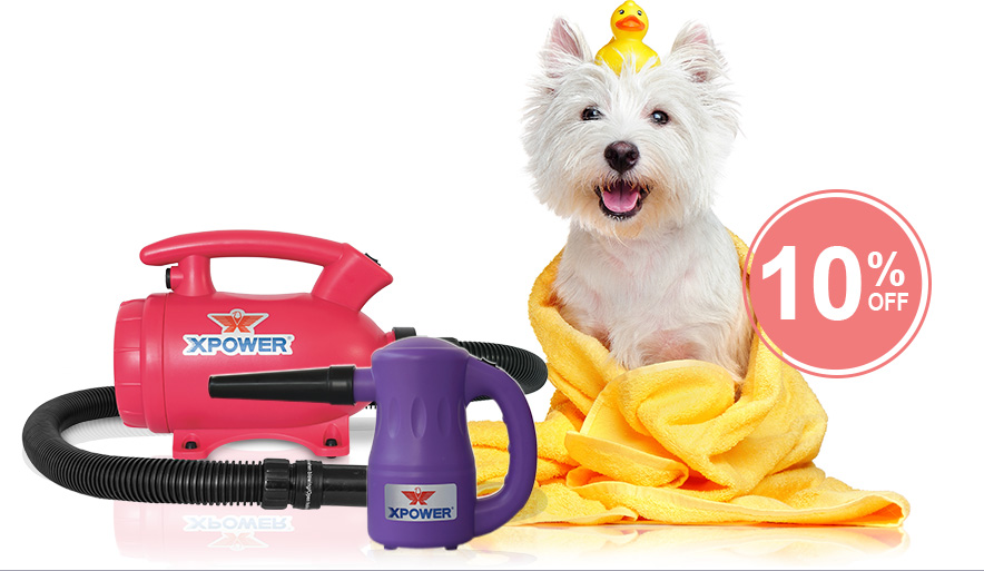 home pet dryers
