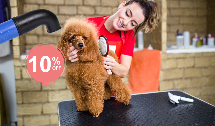 pet grooming dryer equipment