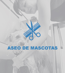 ASEO DE MASCOTAS