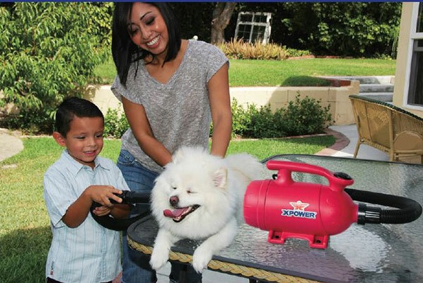 doggo__08068.1559302568.1280.1280